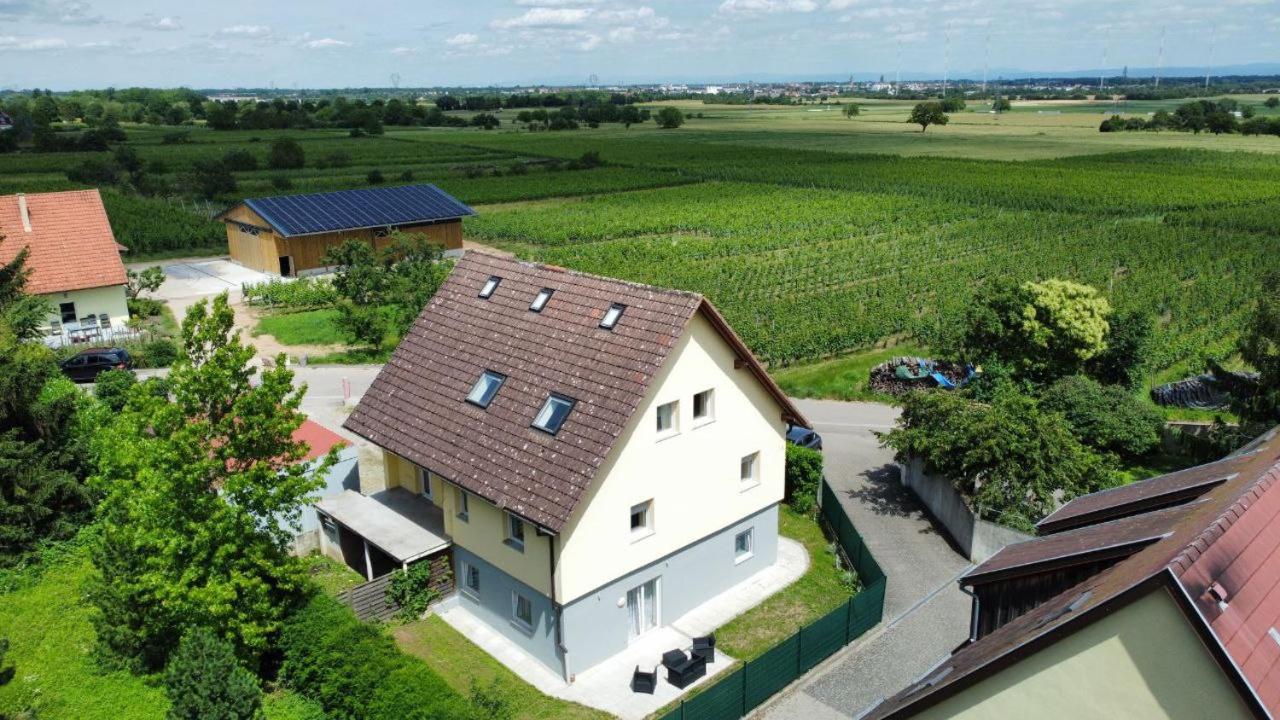 Bel Appartement En Centre Alsace Kintzheim Eksteriør billede